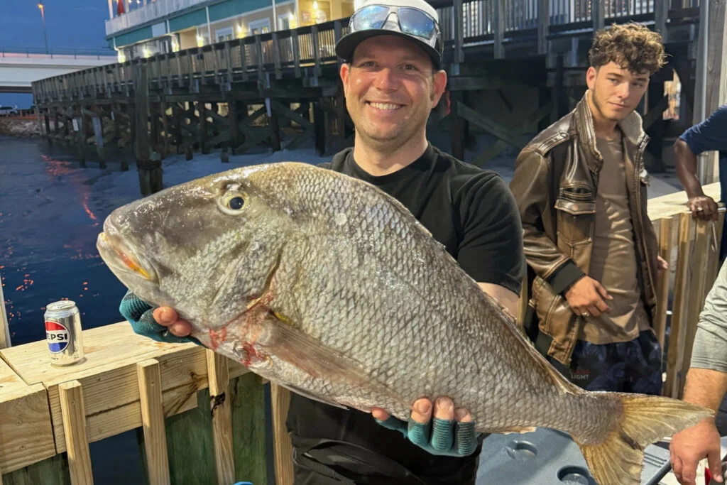 OFFSHORE-porgy