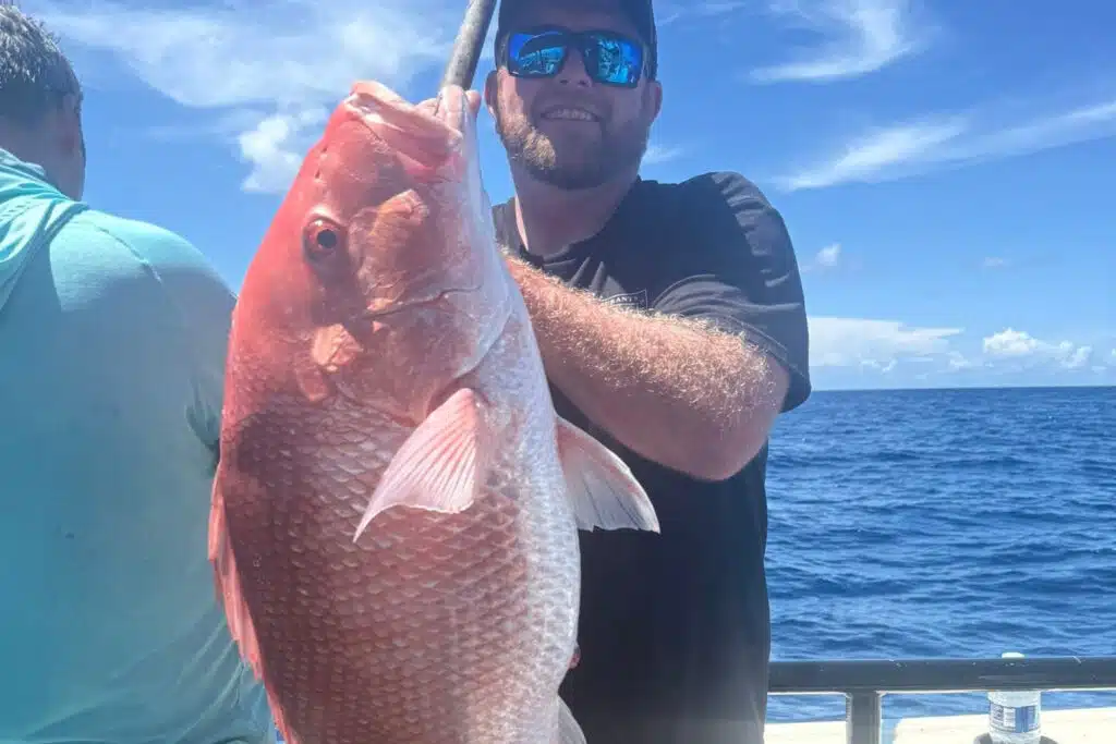 OFFSHORE-redsnapper (2)