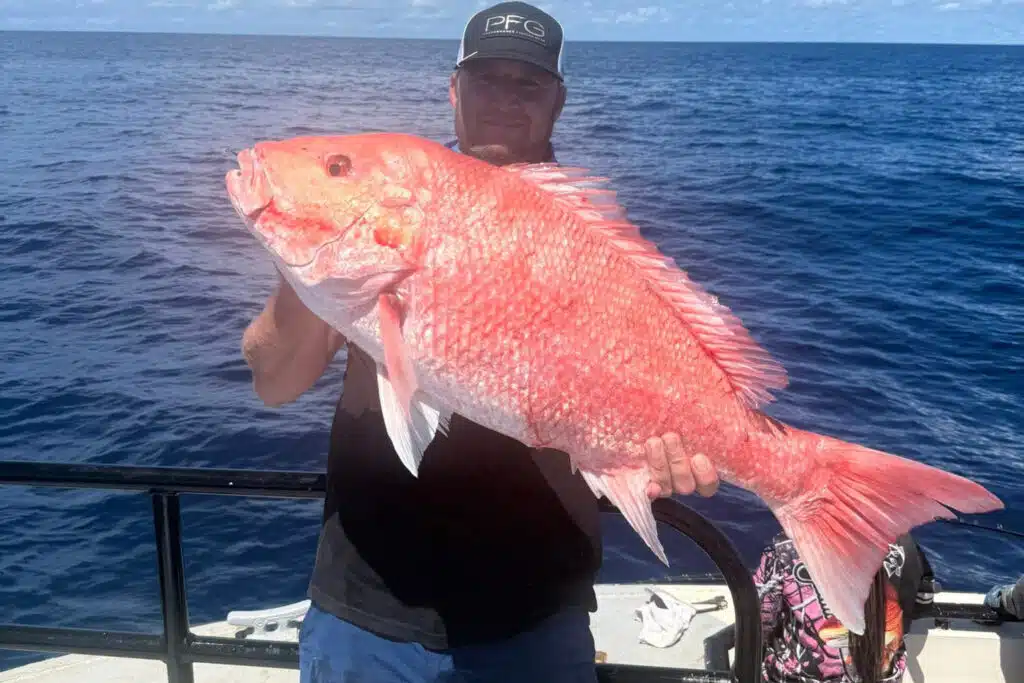OFFSHORE-redsnapper (3)