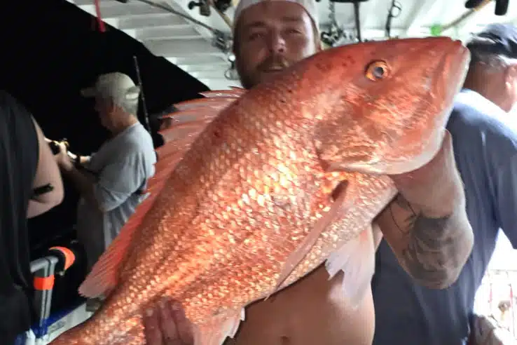 OFFSHORE-redsnapper