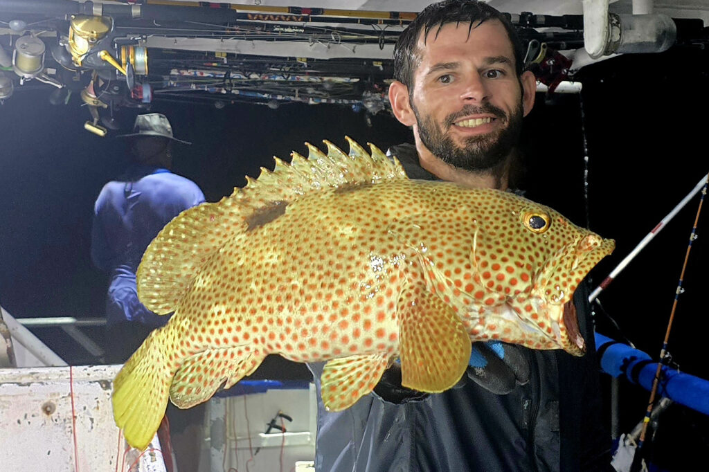 OFFSHORE - strawberry grouper