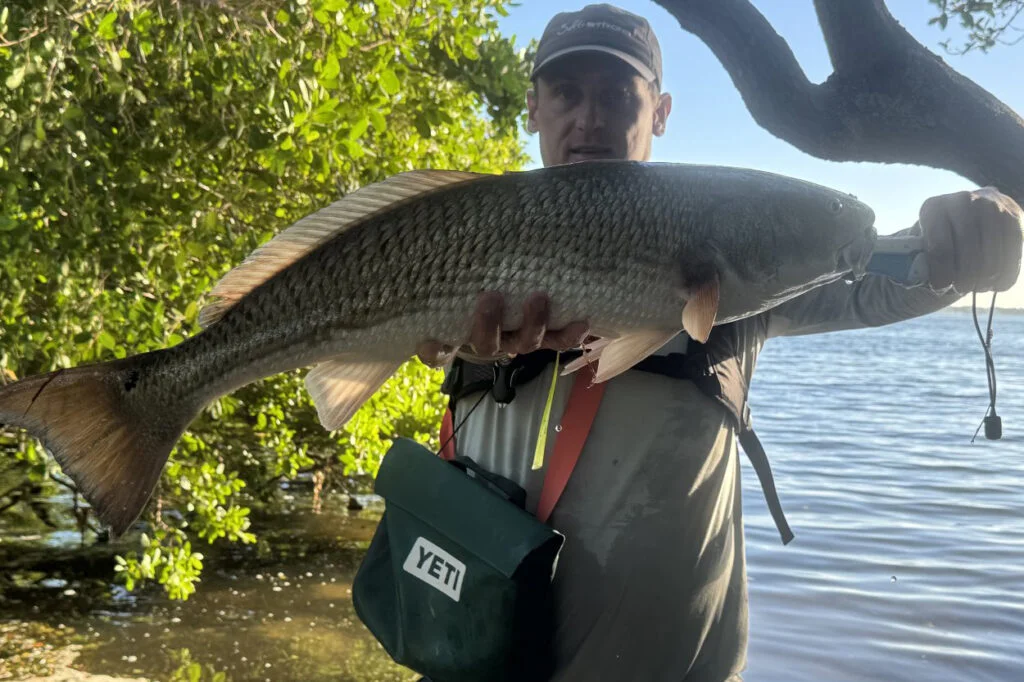 INSHORE-redfish2