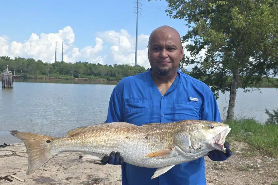 INSHORE-redfish3