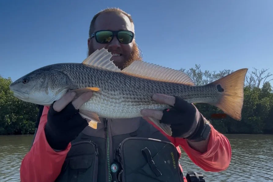 INSHORE-redfish3