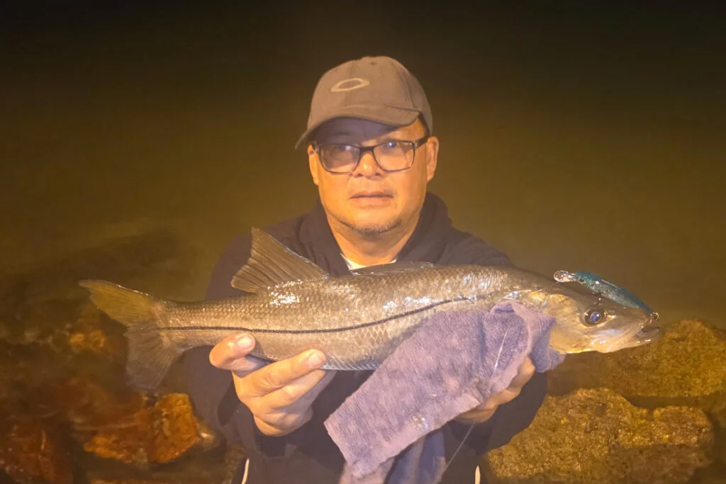 INSHORE-snook (1)
