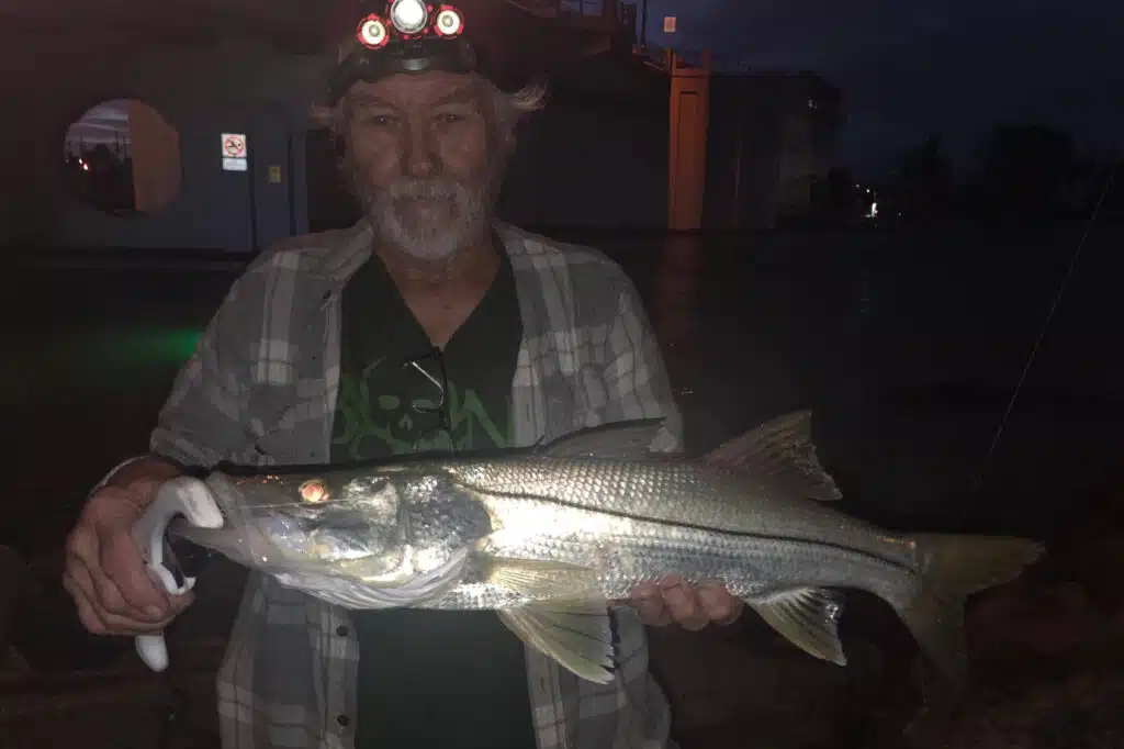 INSHORE-snook (3)