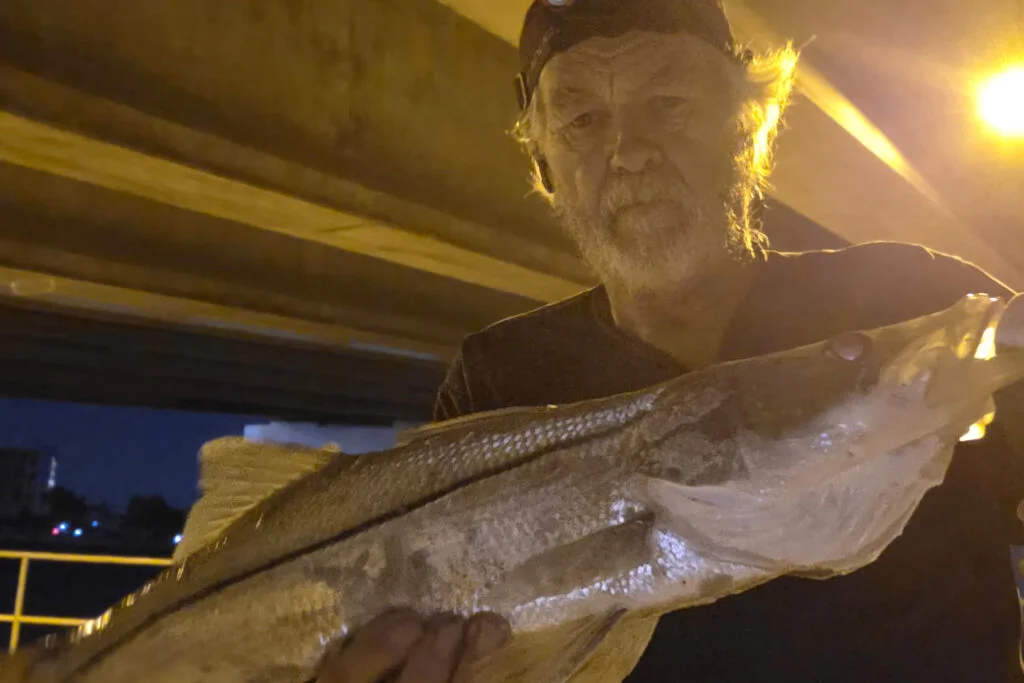 INSHORE-snook (4)