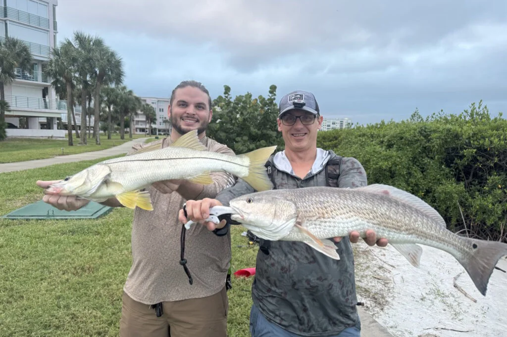 INSHORE-snook-redfish