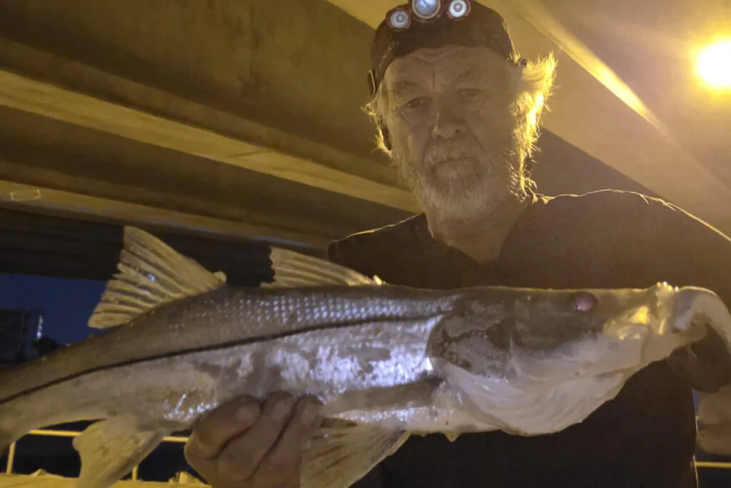 INSHORE-snook10