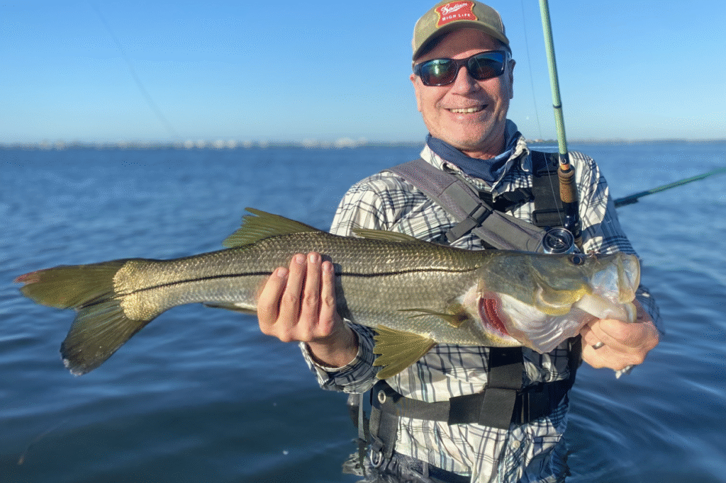 INSHORE-snook2