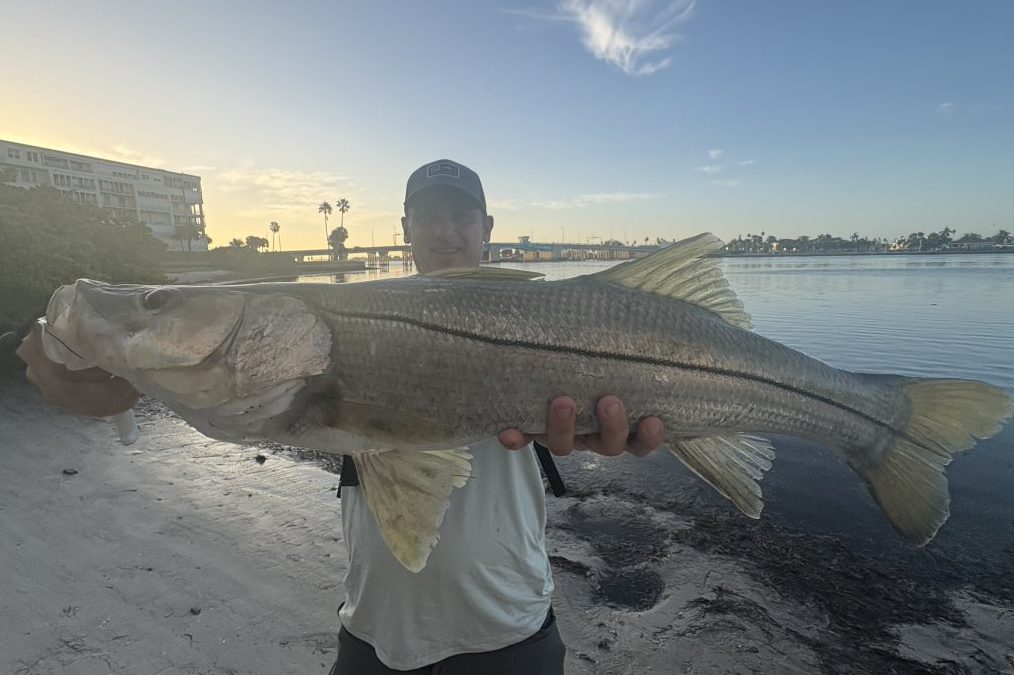 INSHORE-snook8
