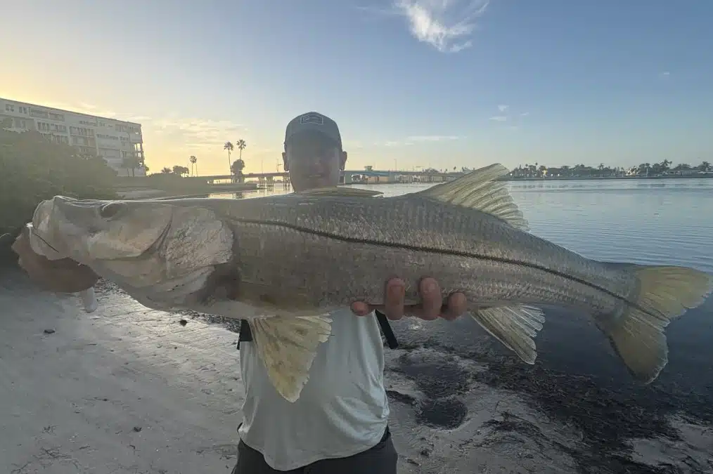 INSHORE-snook8