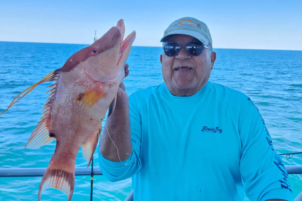 NEARSHORE-hogfish (1)