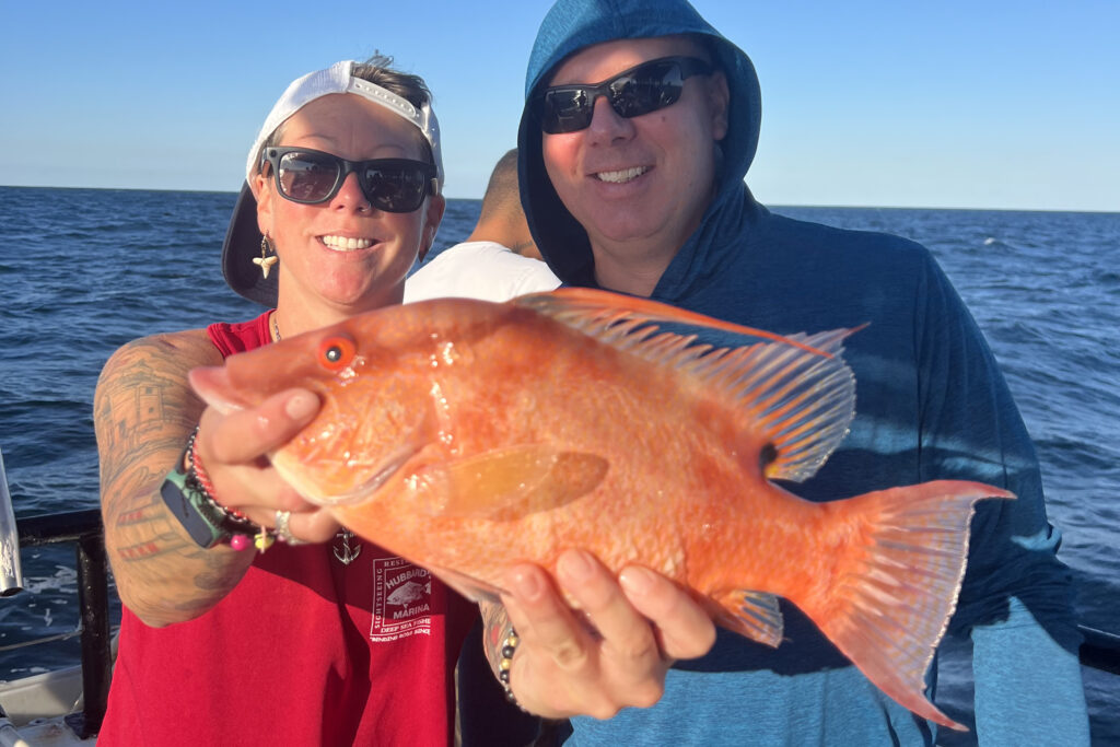 NEARSHORE-hogfish (11)
