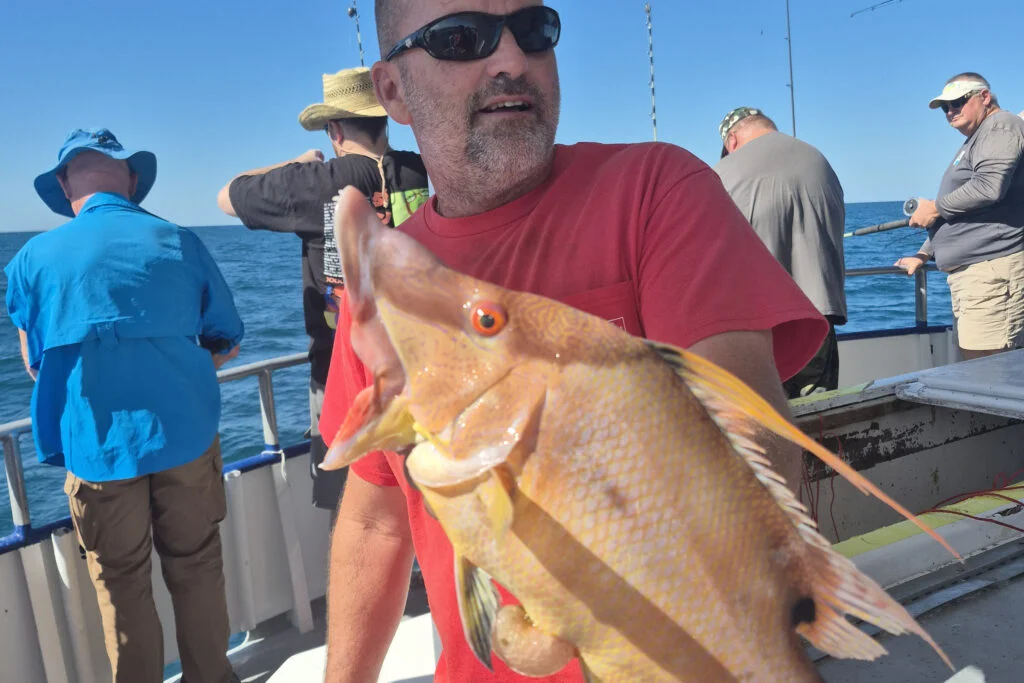 NEARSHORE-hogfish (14)