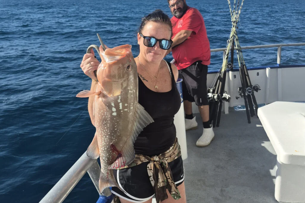 NEARSHORE-hogfish (15)