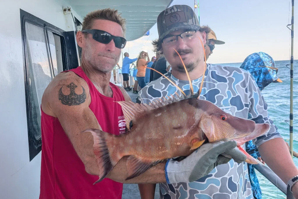 NEARSHORE-hogfish (16)