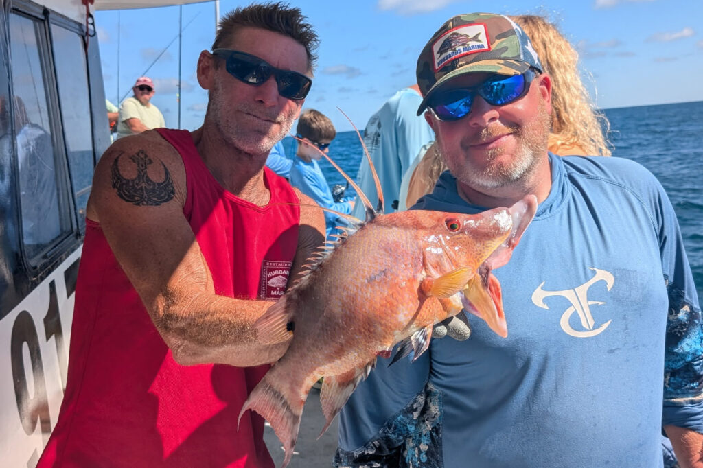 NEARSHORE-hogfish (17)