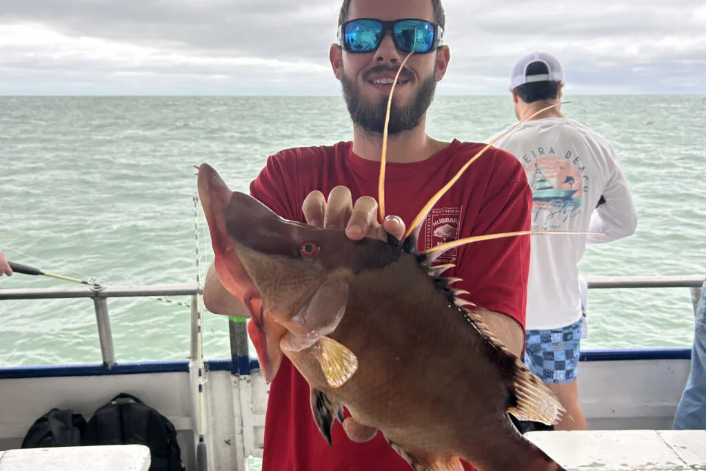 NEARSHORE-hogfish (19)