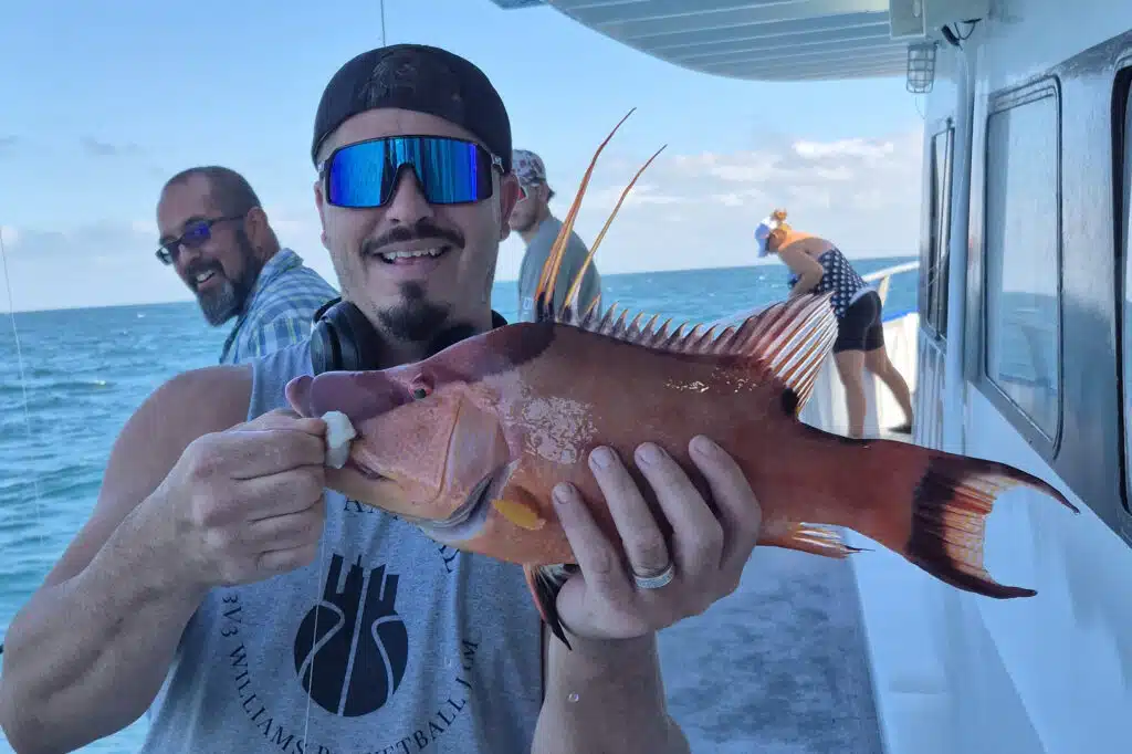 NEARSHORE-hogfish (3)