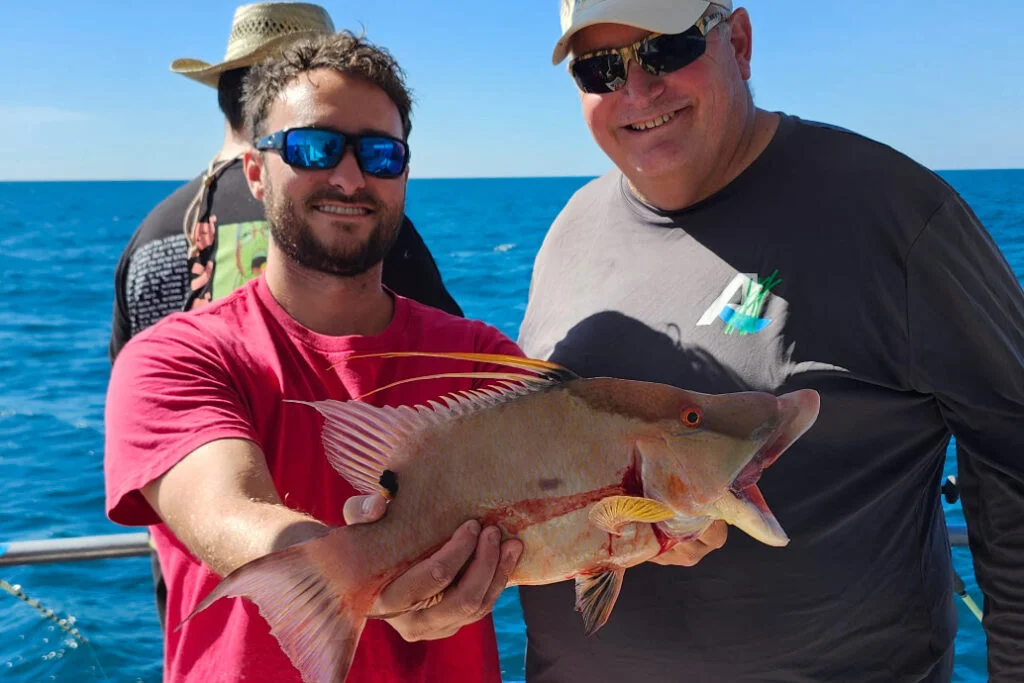 NEARSHORE-hogfish (4)
