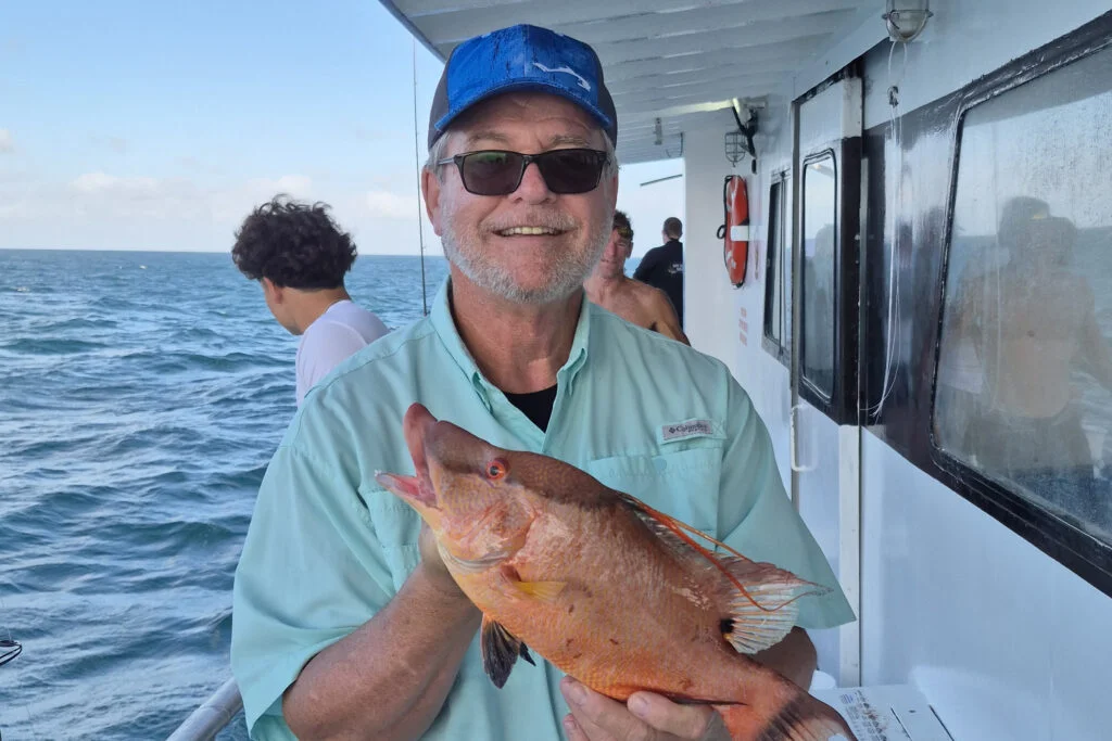 NEARSHORE-hogfish (4)