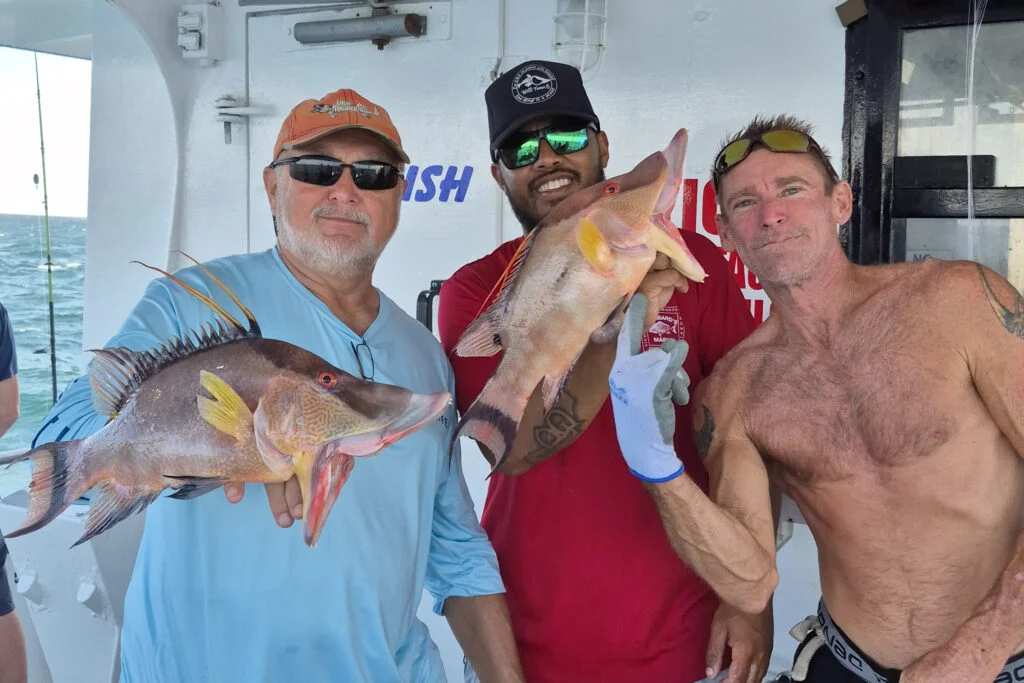 NEARSHORE-hogfish (5)