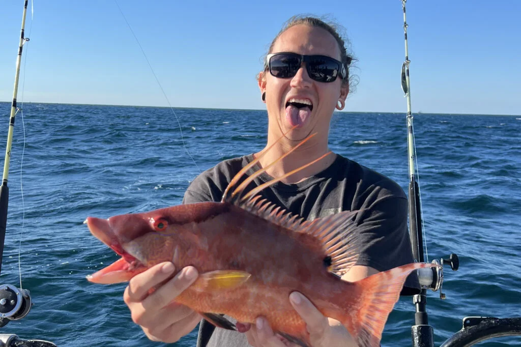 NEARSHORE-hogfish (6)
