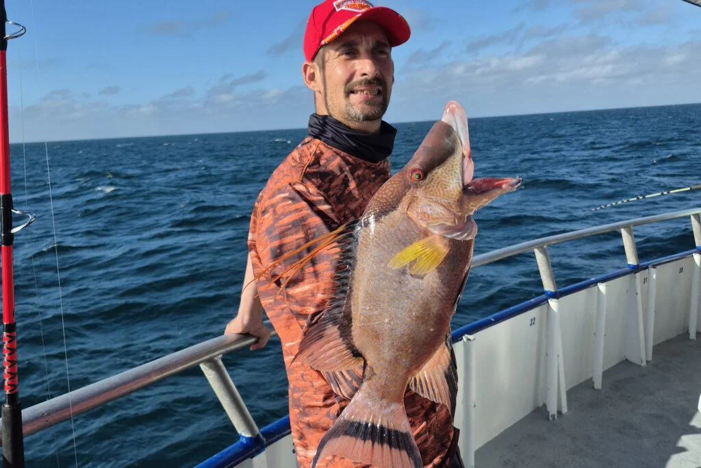 NEARSHORE-hogfish (6)