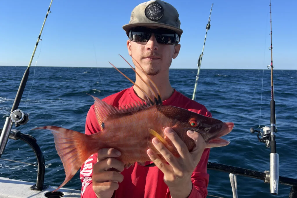 NEARSHORE-hogfish (7)