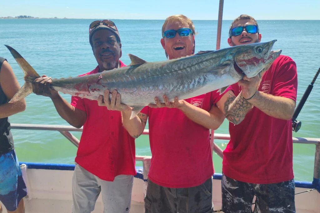 NEARSHORE-kingfish