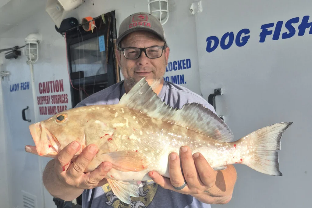 NEARSHORE-redgrouper (1)