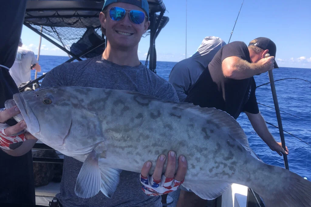 OFFSHORE-gaggrouper (1)