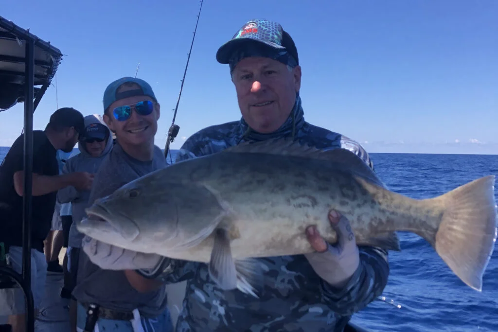 OFFSHORE-gaggrouper