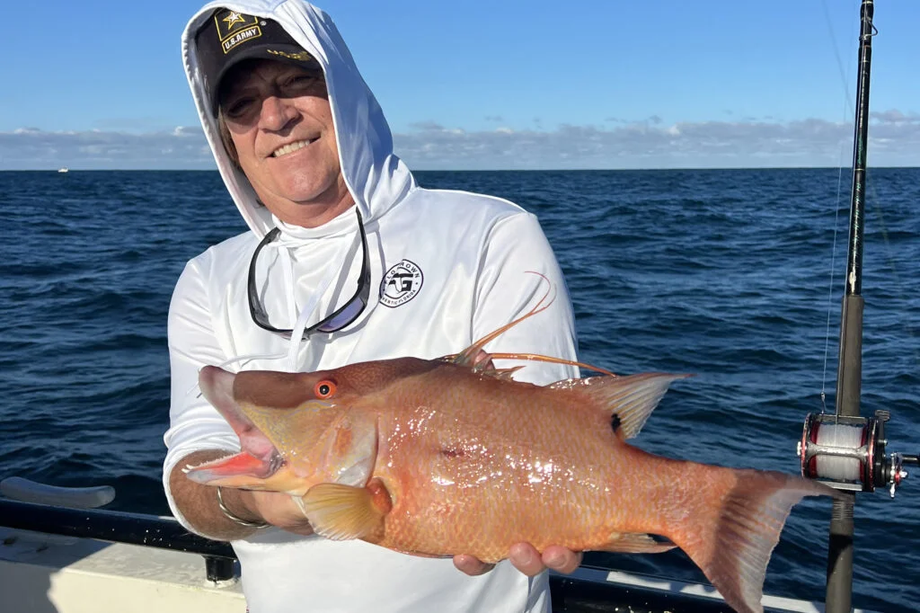 OFFSHORE-hogfish (1)