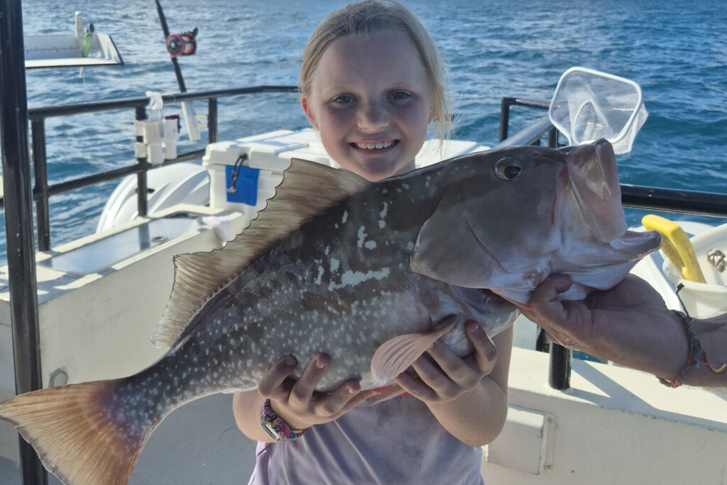 OFFSHORE-redgrouper (4)
