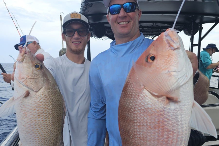 OFFSHORE-snapper
