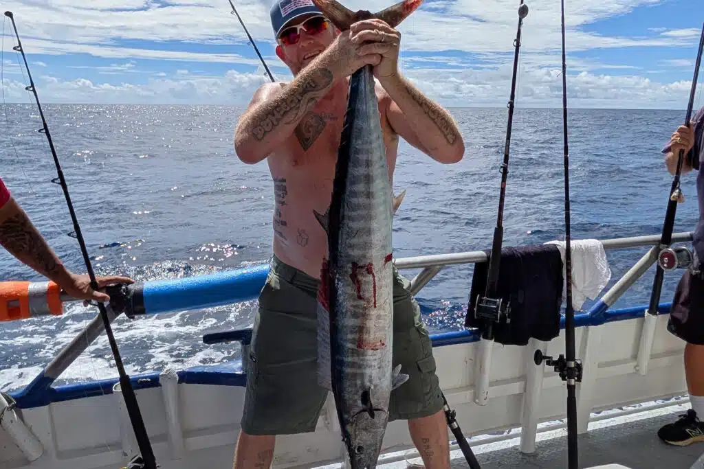 offshore-KINGFISH
