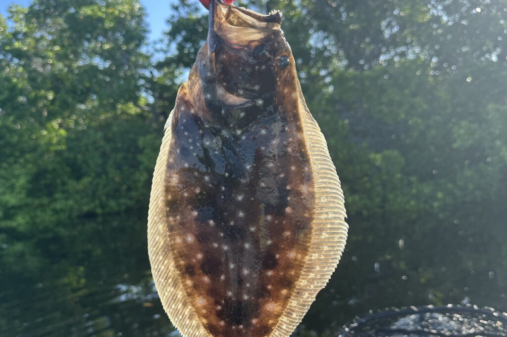 INSHORE-flounder2