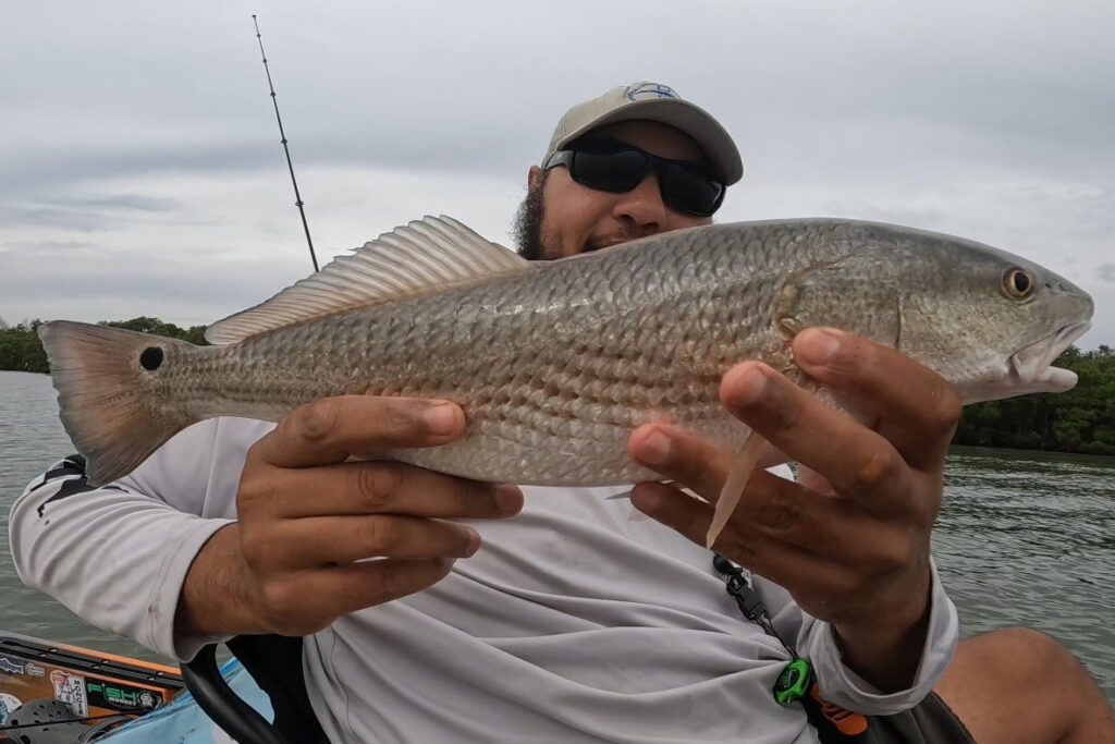INSHORE-redfish (1)