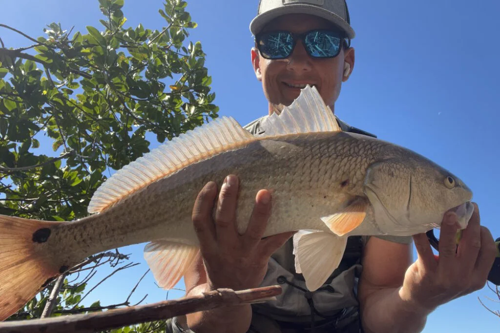 INSHORE-redfish