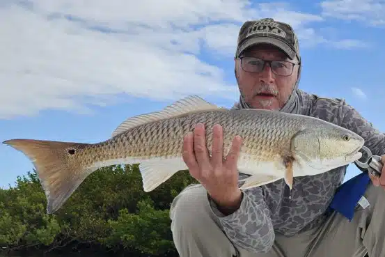 INSHORE-redfish