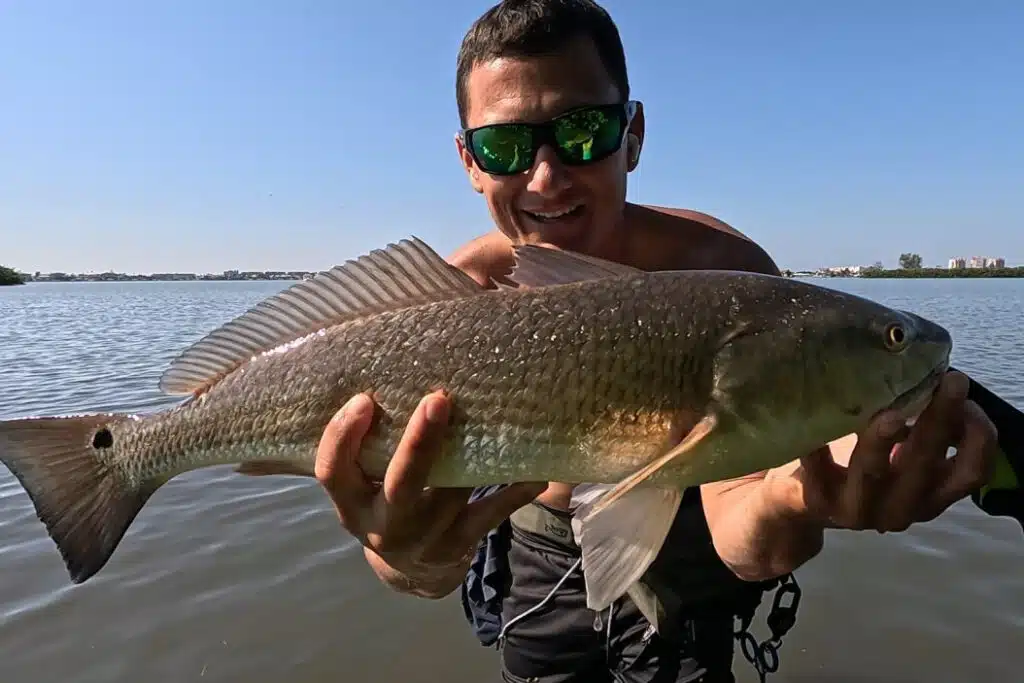 INSHORE-redfish2