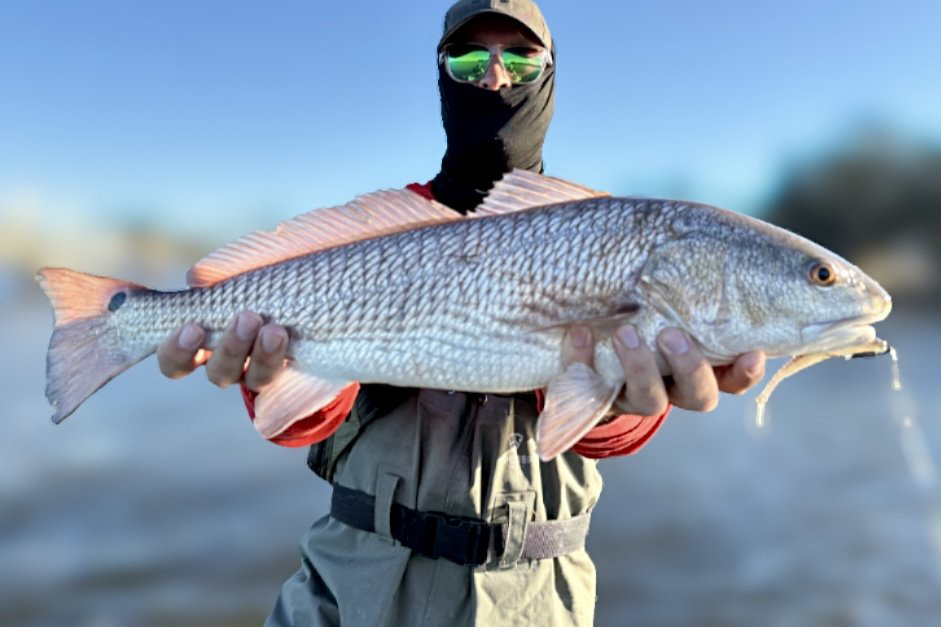INSHORE-redfish3
