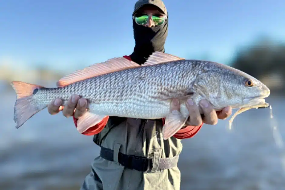 INSHORE-redfish3