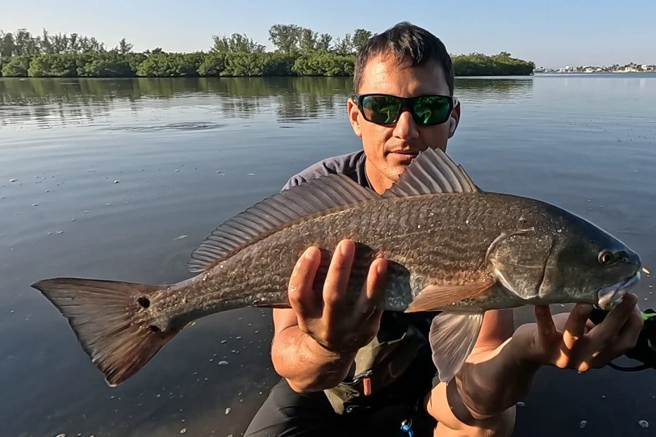 INSHORE-redfish4