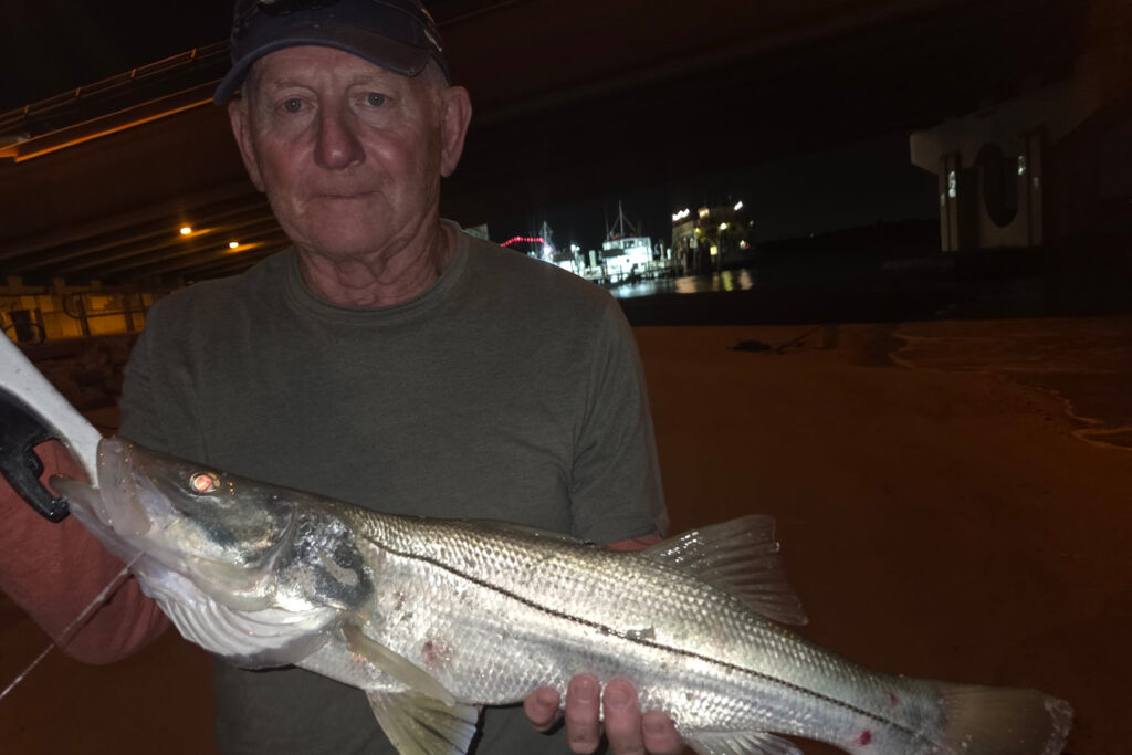 INSHORE-snook (1)