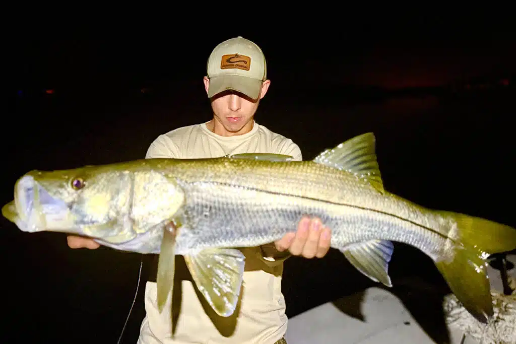 INSHORE-snook (1)