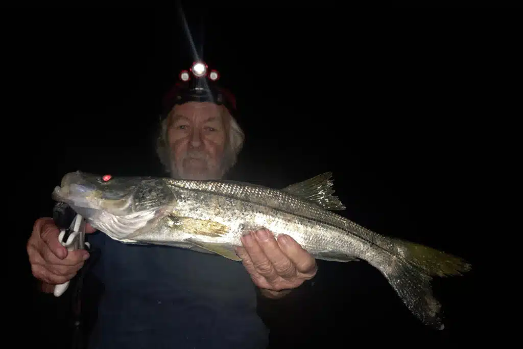 INSHORE-snook (1)