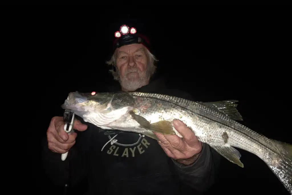 INSHORE-snook (2)